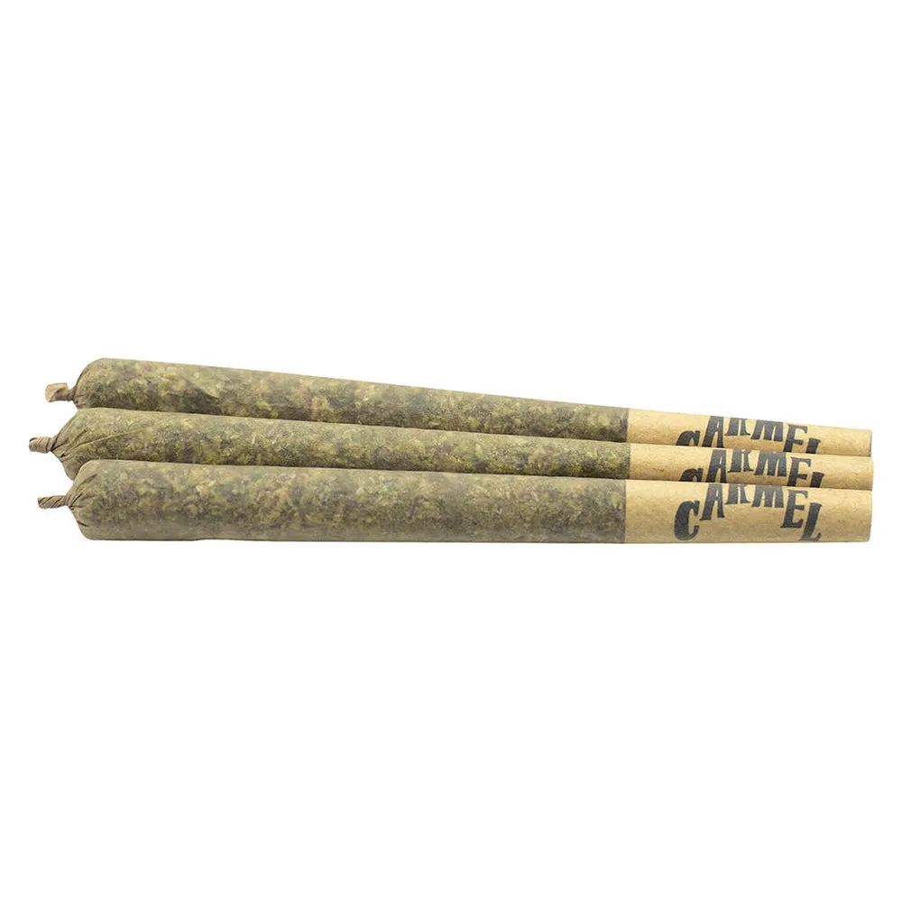Carmel - Animal Face Pre-Roll