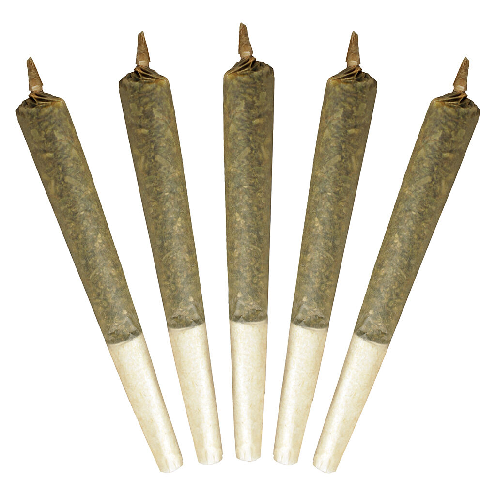 Buddy Blooms - Big Buddy Sativa Pre-Roll
