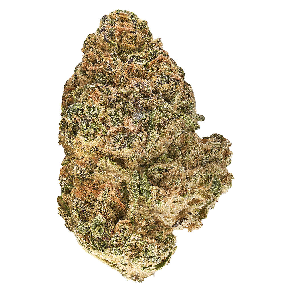 Redecan - Animal Rntz