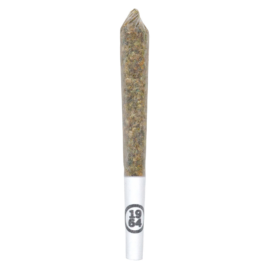 1964 - Comatose Pre-Roll